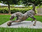 DESMARETS JAN SPELENDE HOND IN BRONS, OOK BEELDEN GEVRAAGD!!, Antiek en Kunst, Ophalen of Verzenden