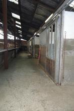 2 stallen vrij te Wolfsdonk, Weidegang, 2 of 3 paarden of pony's