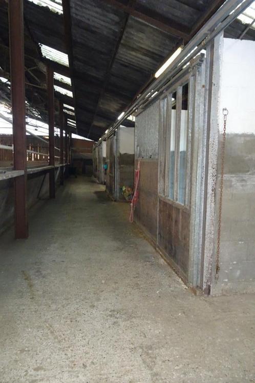 2 stallen vrij te Wolfsdonk, Dieren en Toebehoren, Stalling en Weidegang, Stalling, Weidegang, 2 of 3 paarden of pony's