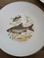 visborden, Huis en Inrichting, Ophalen, Bord(en)