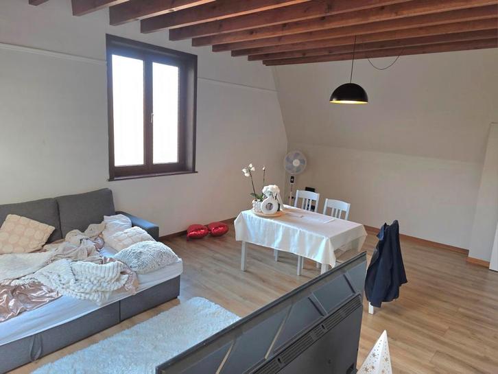 Centrum Gent appartement. 2slpk, Immo, Appartementen en Studio's te huur, Gent