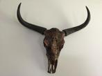 bull head wanddecoratie brons, Zo goed als nieuw, Ophalen