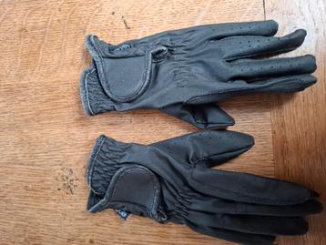 Paardrijhandschoenen beschikbaar voor biedingen