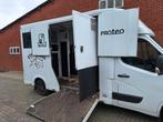 Renault Master Theault paardenwagen hengsten uitvoering, Dieren en Toebehoren, Paarden en Pony's | Trailers en Aanhangwagens, Ophalen