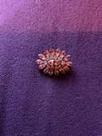 Zeer oude roze broche, Handtassen en Accessoires, Broches, Verzenden, Zo goed als nieuw