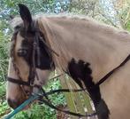 ZEER LIEVE TINKERMERRIE, Merrie