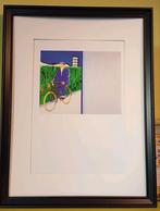 Dag mijnheer Raveel, Ophalen of Verzenden