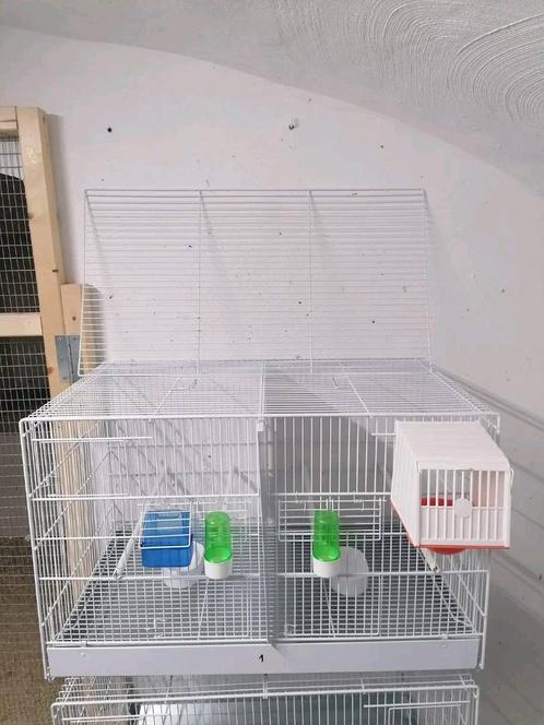 Cages Domus Molinari, Animaux & Accessoires, Autres accessoires pour animaux, Comme neuf, Enlèvement