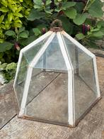 Mini-serre, Tuin en Terras, Gebruikt, Kweekkas, Glas, Ophalen