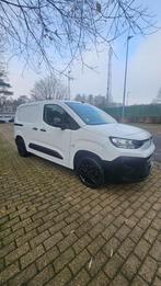Citroën Berlingo Club M (année de construction 2024), Achat, Euro 6, 131 ch, 5 portes