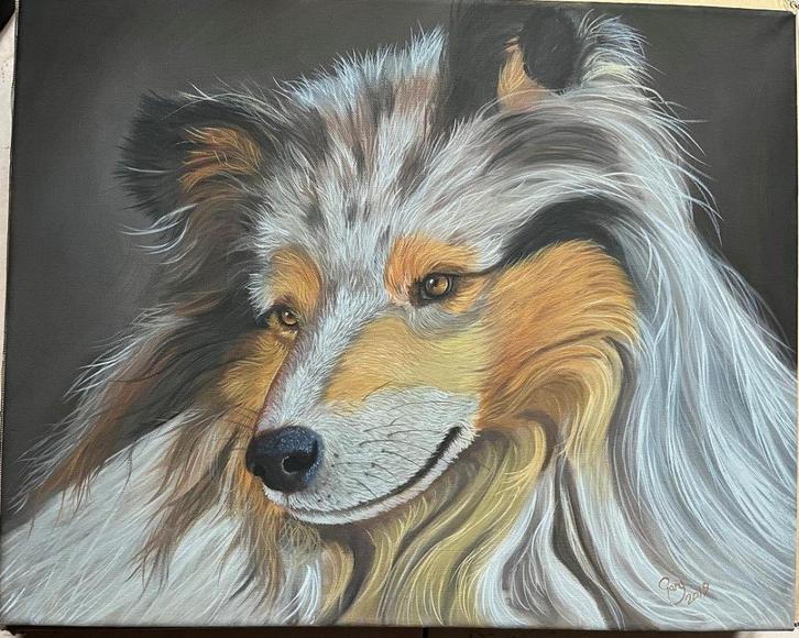 Schilderij Gary Wakeham - Collie Dog  40x50cm, Huis en Inrichting, Woonaccessoires | Schilderijen, Tekeningen en Foto's, Zo goed als nieuw