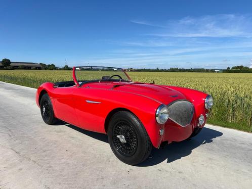 Austin Healey 100/4 BN1 1954, Autos, Austin, Entreprise, Achat, Essence, Cabriolet, 2 portes, Boîte manuelle, Rouge, Noir, Propulsion arrière