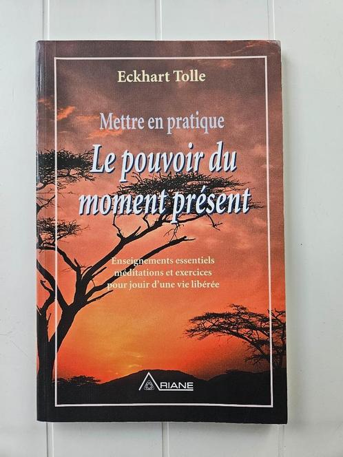 Mettre en pratique le pouvoir du moment présent : Enseigneme, Livres, Livres Autre, Utilisé, Enlèvement