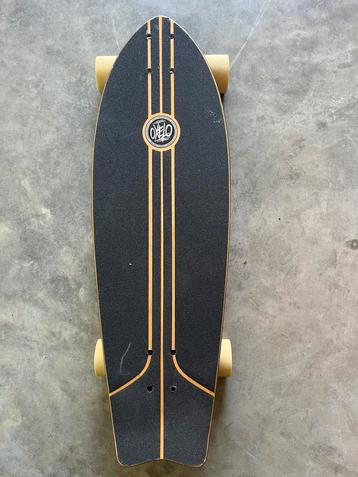 Longboard beschikbaar voor biedingen