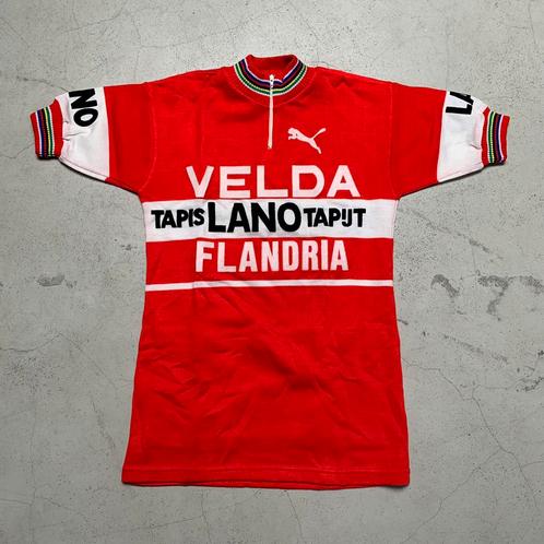 Flandria Velda Lano 1978 koerstrui wielertrui wol vintage, Vélos & Vélomoteurs, Accessoires vélo | Vêtements de cyclisme, Enlèvement ou Envoi