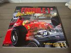 Formule 1 boek, Verzamelen, Automerken, Motoren en Formule 1, Ophalen of Verzenden, Zo goed als nieuw, Formule 1