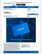 2 kaartjes circus camille 1 Augustus 2026, Tickets en Kaartjes, Concerten | Pop, Augustus