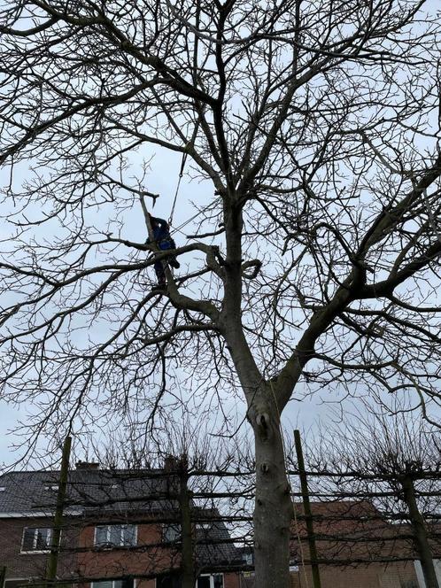 GRATIS offerte, Tuin en Terras, Overige Tuin en Terras, Nieuw, Ophalen