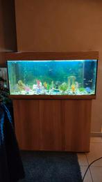 Aquarium, Enlèvement, Utilisé, Aquarium d'eau douce rempli