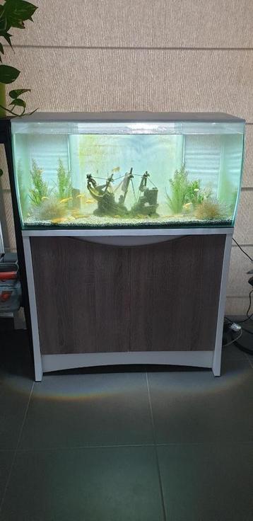Aquarium (zonder het meubel) en LED-licht + filter, Dieren en Toebehoren, Ophalen, Zo goed als nieuw, Leeg aquarium