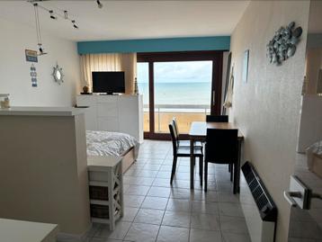 Rustgevende studio te Westende beschikbaar voor biedingen