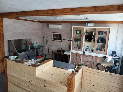 Gekke hondenverzorging in 7912 Dergneau, Dieren en Toebehoren, Honden-accessoires, Ophalen