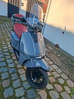 GTS bergamo klasse A 3 maand oud, Enlèvement, Neuf