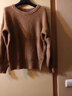 Nieuwe pull "RIVER WOODS "   e, Kleding | Dames, Ophalen of Verzenden, Maat 42/44 (L), Bruin