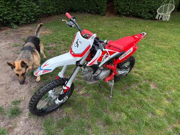 Pitbike 140cc beschikbaar voor biedingen