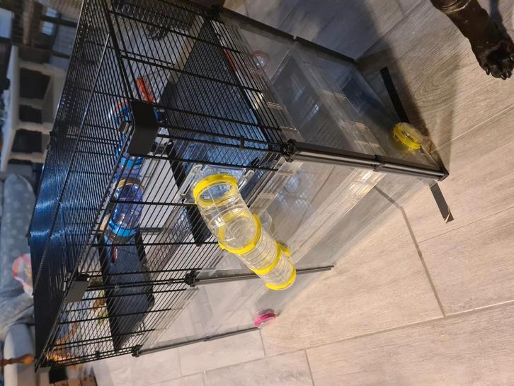 Ruime hamsterkooi met 3 etages, Dieren en Toebehoren, Knaagdieren en Konijnen | Hokken en Kooien, Zo goed als nieuw, Hamster, Ophalen