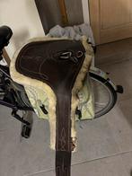 Kentucky springsingel, Enlèvement, Comme neuf