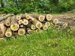 Bois de chauffage  peuplier en 4m, 6 m³ ou plus, Troncs d'arbres, Autres essences de bois, Enlèvement ou Envoi