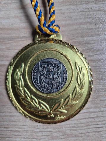 Carnaval medaille Zaventem De Varkenskoppen 1993 beschikbaar voor biedingen