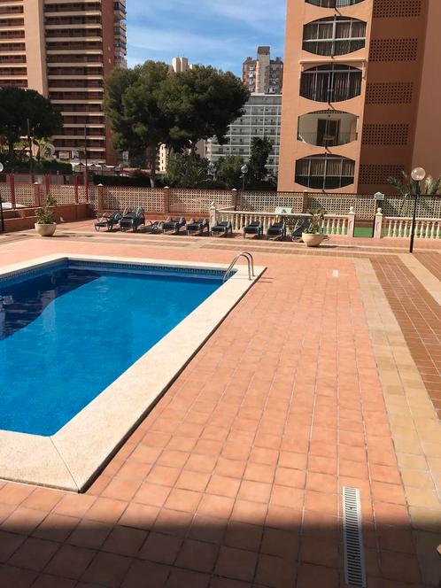 Benidorm te huur, Diensten en Vakmensen, Tuinmannen en Stratenmakers