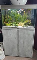 Aquarium 120 litre avec meuble, filtration,  éclairage led., Dieren en Toebehoren, Ophalen, Zo goed als nieuw
