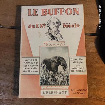 De olifant, door Marie-Grand Déribéré beschikbaar voor biedingen