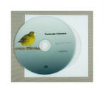 Canari Timbrado classico CD  47min, Dieren en Toebehoren, Vogels | Kanaries, Meerdere dieren, Zangkanarie