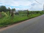 Weide te koop, Dieren en Toebehoren