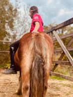 Halve stal shetlander pony., Dieren en Toebehoren, Ophalen of Verzenden, Zo goed als nieuw