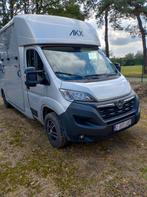 Paardencamionette te huur, Dieren en Toebehoren, Paard of Pony