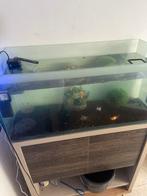 Aquarium 150 liter te koop, Dieren en Toebehoren, Ophalen, Zo goed als nieuw