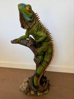 Darksteel & Zenpunk Iguana statue, Ophalen, Zo goed als nieuw