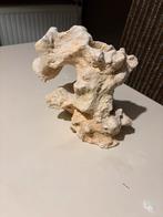 Gatensteen aquarium, Enlèvement, Neuf, Plante(s), Pierre ou Bois