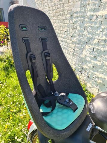 Thule Yepp Nexxt Maxi 2 Mint groen framebevestiging