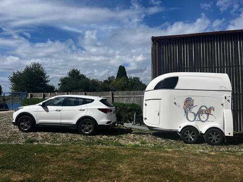 Van Bockmann Master 2 zitplaatsen (paarden), Dieren en Toebehoren, Paarden en Pony's | Trailers en Aanhangwagens, Zo goed als nieuw