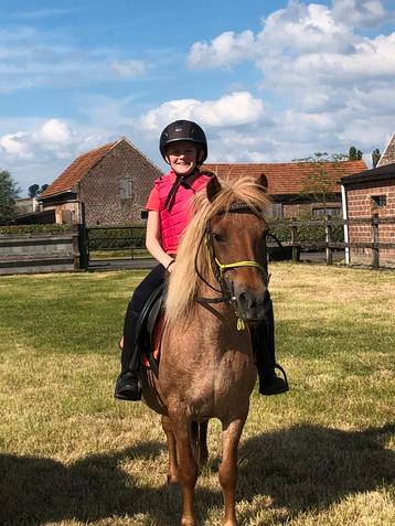 Droom kinder b-pony beschikbaar voor biedingen