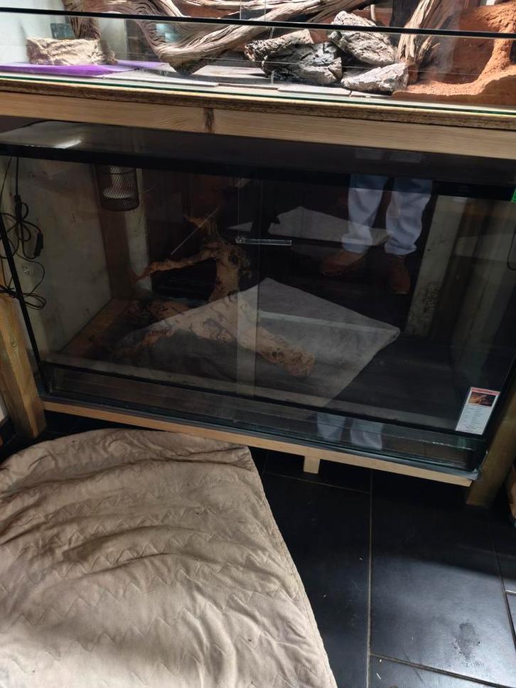 Groot terrarium 120x60x60, Dieren en Toebehoren, Reptielen en Amfibieën | Toebehoren, Ophalen