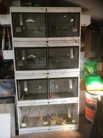 grote kweekkooi voor kleine vogels, Ophalen, Gebruikt, Hout, Broedkooi of Kweekkooi