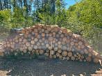 Houten stammen 2 meter (40 euro/ kuub), Tuin en Terras, Brandhout, Ophalen, Stammen