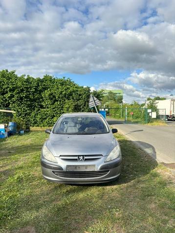 Peugeot 307 1.3 Benzine 78xxx km carpass  beschikbaar voor biedingen
